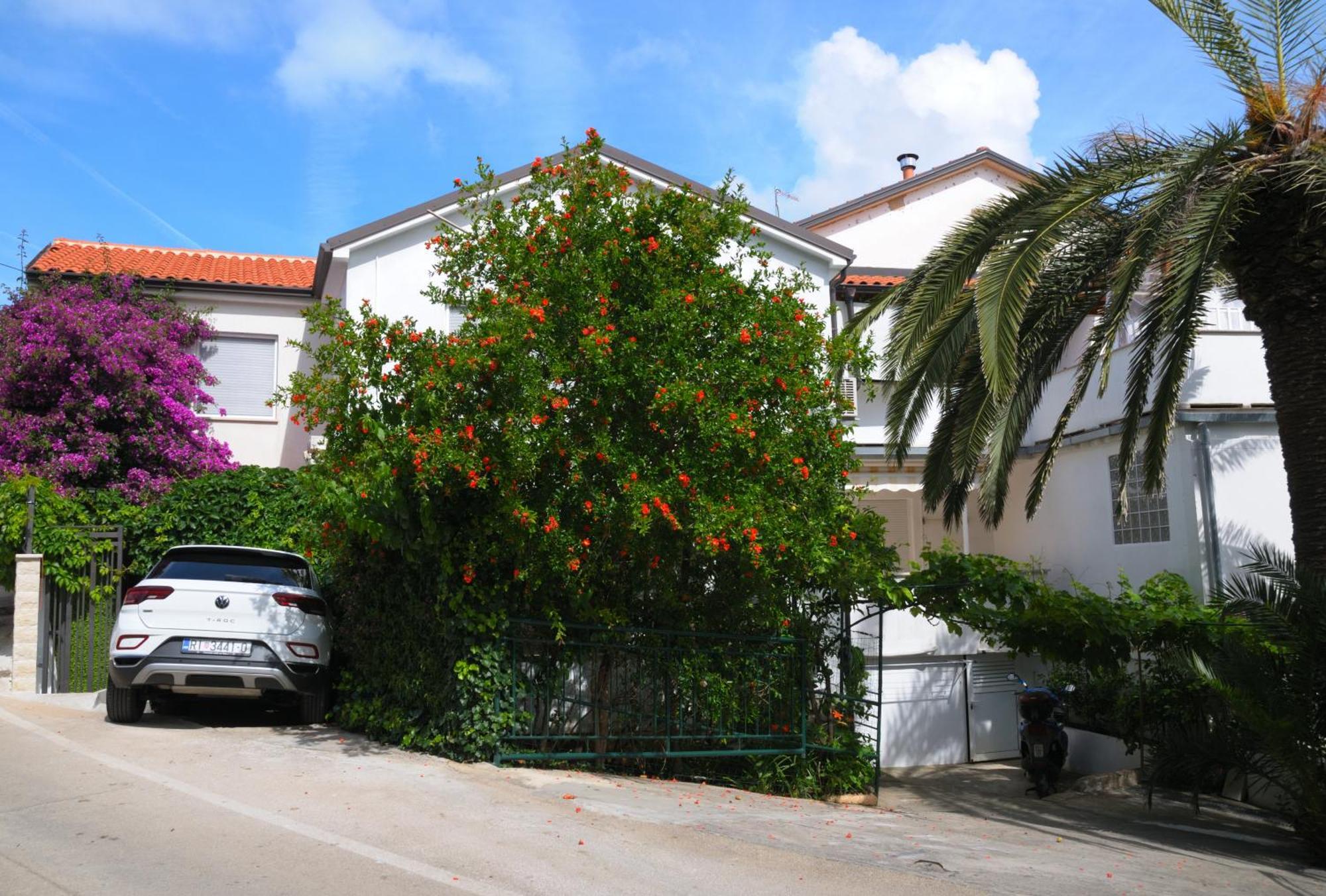 Apartments Antares Mali Lošinj Exteriér fotografie