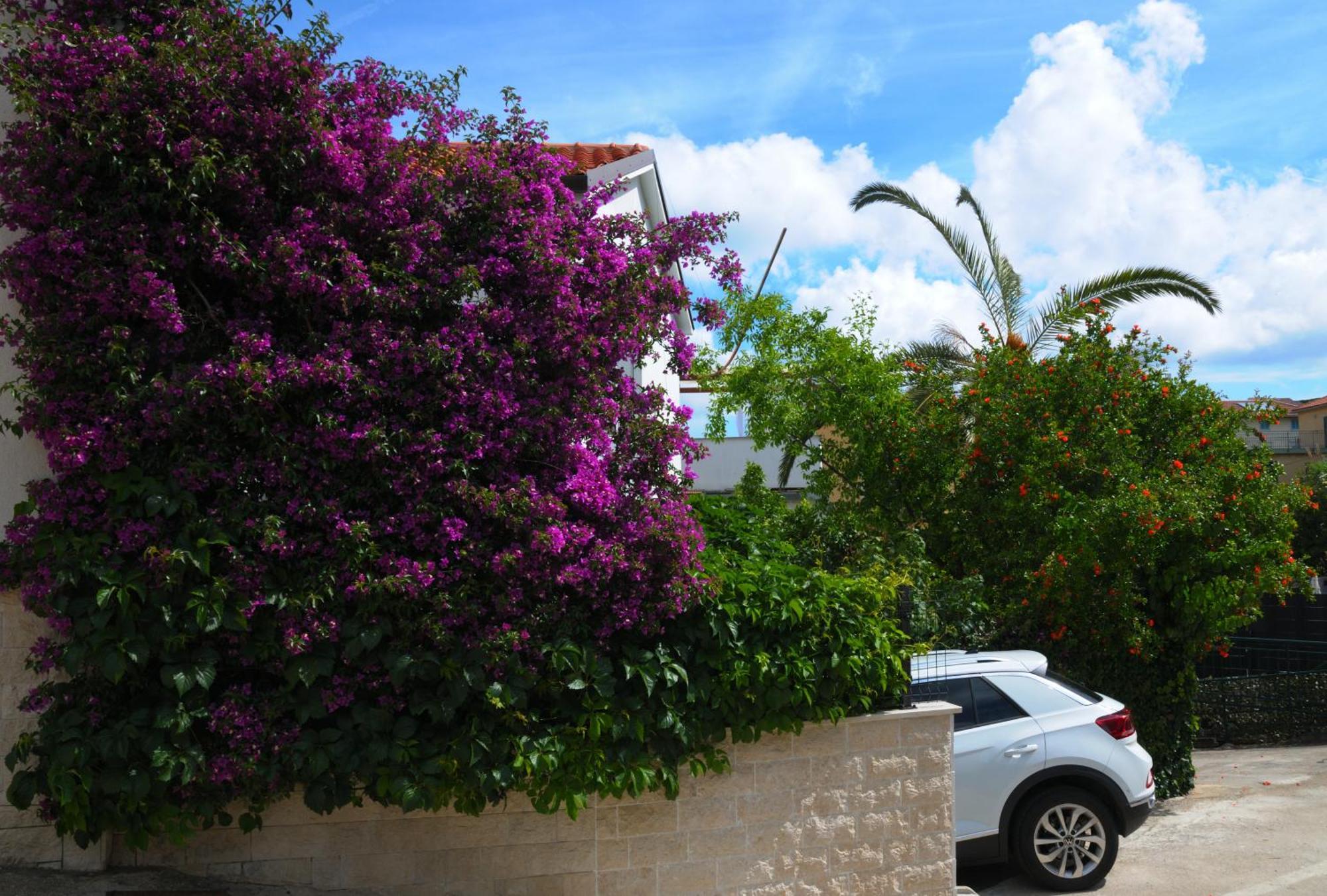 Apartments Antares Mali Lošinj Exteriér fotografie